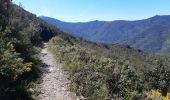 Trail Walking Collioure - MADELOC depuis col de la serra, via col formigo,  batterie 500, madeloc, col tellaferra  - Photo 14