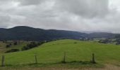 Trail Mountain bike Fréland - Fréland Col des Bagenelles - Photo 3