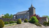 Trail Walking La Roche-en-Ardenne - Sanree 300523 - Photo 1