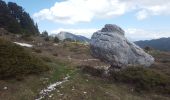 Randonnée Marche Entremont-le-Vieux - Sommet Pinet à partir de la Balme - Photo 10