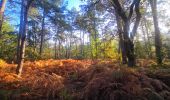 Tour Wandern Noisy-sur-École - Boucle 24 km Fontainebleau Arbonne - Photo 12