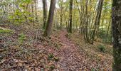 Tour Wandern Vendôme - Forêt de Vendôme - Bois de l'Oratoire - Photo 7