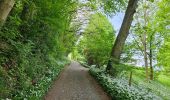 Trail Walking Olne - La balade de l'ail des Ours (Olne) 🥾 - Photo 1