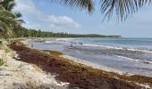 Excursión Senderismo Le Vauclin - Boucle Macabou via Morne Etoile - Photo 8