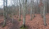 Trail Walking Comblain-au-Pont - comblain . ferme de raideux . mont . bois de monty . mont . roches noires . comblain   - Photo 5