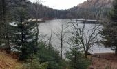 Trail Walking La Bresse - lac de blanchemer  - Photo 1