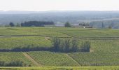 Percorso Marcia Pouilly-sur-Loire - Pouilly sur loire 58:rando dans les Vignes  - Photo 18