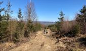 Randonnée Marche Lierneux - Par les crêtes  - Photo 2