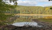 Trail On foot Philippsbourg - Hanau Pond's small circular hike - Photo 1