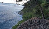 Tocht Trail La Seyne-sur-Mer - fabregas, sémaphore du cap Sicié. sentier du littoral  - Photo 1