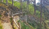 Trail Walking Durbuy - Balade à Bomal sur Ourthe - Photo 9