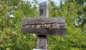 Trail Walking Châteauneuf-Val-Saint-Donat - CHÂTEAU NEUF VAL SAINT DONAT. Circuit des bories o l s - Photo 9