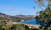 Trail Walking Sainte-Maxime - Petite Corse Sainte Maxime  - Photo 6