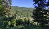 Tour Wandern Hohwald - Le Hohwald (bis) - Photo 2