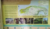 Randonnée Marche Landévennec - Le loch-Sillon des anglais avec Ripley 08-07-2023 - Photo 1
