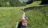 Trail Walking Abriès-Ristolas - Alf Queyras j3 réel - Photo 18