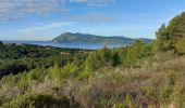 Percorso Marcia Saint-Mandrier-sur-Mer - Rando douce St Elme Ste Asile - Photo 1