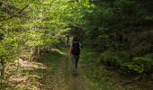 Trail Walking Biffontaine - suuntoapp-Hiking-2024-05-11T06-27-07Z - Photo 6