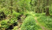 Trail Horseback riding Le Tholy - 2022-06-01 Rando CVA Le Tholy Boucle Cascades du Tendon - Photo 2