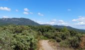 Tocht Stappen Le Triadou - tour triadou, st Jean de cuculles - Photo 8