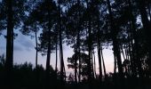 Randonnée V.T.C. Sanguinet - Sanguinet-Le lac à la tombée de la nuit - Photo 17