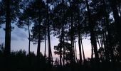 Excursión Bicicleta híbrida Sanguinet - Sanguinet-Le lac à la tombée de la nuit - Photo 17