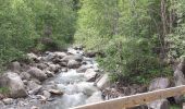 Randonnée Marche Jausiers - CASCADE DU PISSOUN ET VALLON DES TERRES PLAINES - Photo 3