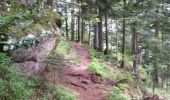 Randonnée V.T.T. Raon-l'Étape - sortie vtt du 12052018 pierre d'appel  - Photo 2