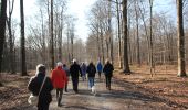 Tour Wandern Baelen - 2022.03.05 ENEO Membach Perkierts - Photo 11