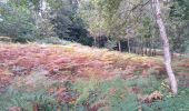 Percorso Marcia Argol - ARGOL - Photo 1