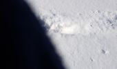 Percorso Sci di fondo Gex - mont mourex - Photo 6