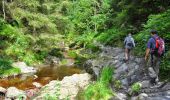 Tocht Te voet Malmedy - Chôdes : Boussire - Photo 7