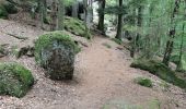Trail Walking Saint-Nabor - boucle st nabor - Mt ste Odile  - Photo 10