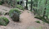 Tour Wandern Sankt Nabor - boucle st nabor - Mt ste Odile  - Photo 10