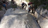 Trail Walking Ollioules - Destel azur  - Photo 19