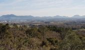 Excursión Senderismo Roquebrune-sur-Argens - ROQUEBRUNE SUR ARGENS - A L'OUEST DE LA FLUTE - Photo 10