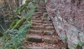 Trail Walking Ottrott - Ottrott - châteaux d'Ottrott - Mont St Odile par le sentier des Merveilles - Photo 17