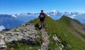 Trail Walking La Clusaz - ARAVIS: LES CONFINS - LAC DE TARDEVANT - POINTE DE TARDEVANT - Photo 7