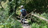 Tocht Stappen Büllingen - Panorama Medendoef - Photo 5