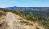 Trail Walking Les Plantiers - coeur des cevennes - Photo 6