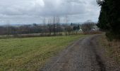 Tocht Stappen La Roche-en-Ardenne - Boucle Samree par Berismenil  - Photo 2