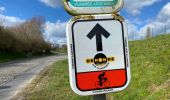 Trail Walking Oudenaarde - Edelare 18,8 km - Photo 3