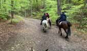 Trail Horseback riding Theux - Ninglinspo  - Photo 4