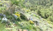 Trail Walking Castellar - Castellane - roc d'Ormea - Photo 5