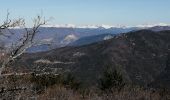 Tour Wandern Nyons - essaillon garde grosse  - Photo 6