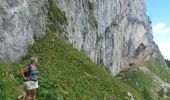 Trail Walking La Roche-sur-Foron - GLIERES / BORNES: LE CHESNET - SUR COU - COL DU FREU - Photo 5