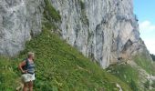 Tour Wandern La Roche-sur-Foron - GLIERES / BORNES: LE CHESNET - SUR COU - COL DU FREU - Photo 5