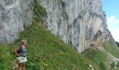 Randonnée Marche La Roche-sur-Foron - GLIERES / BORNES: LE CHESNET - SUR COU - COL DU FREU - Photo 5