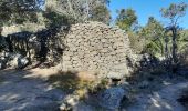 Excursión Senderismo Catllar - cap Béarn depuis port vendres - Photo 8