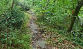 Trail Walking Chamarande - Lardy - Le Lièvre d'Or - Photo 13